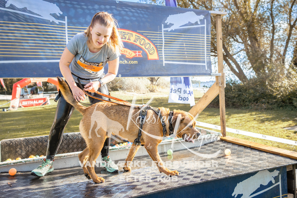 1438_ZZ94825-2 | kk-dogfotos