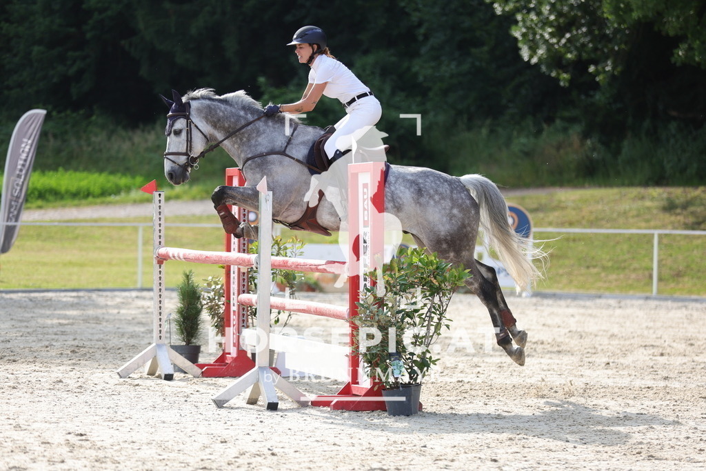 0P6A1312 | Willkommen bei Brunnmayr - Design & Fotografie – Ihrem Spezialisten für Reitturniere und Pferdeveranstaltungen in Oberösterreich, Salzburg und Bayern! Seit über 17 Jahren sind wir leidenschaftlich dabei.