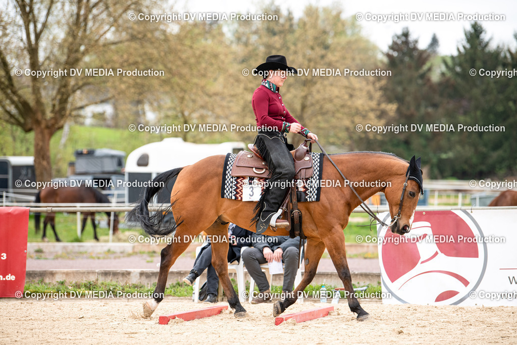 Heiligenwald Tag 1-276 | dv-media-shop - Realisiert mit Pictrs.com