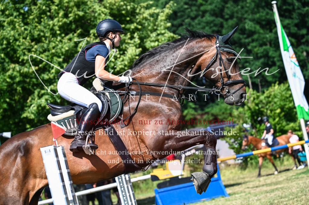 DSC_1589 | Pferde- und Turnierfotografie in Westsachsen. Pferdeportraits, Auftragszeichnungen und intuitive Kunst.