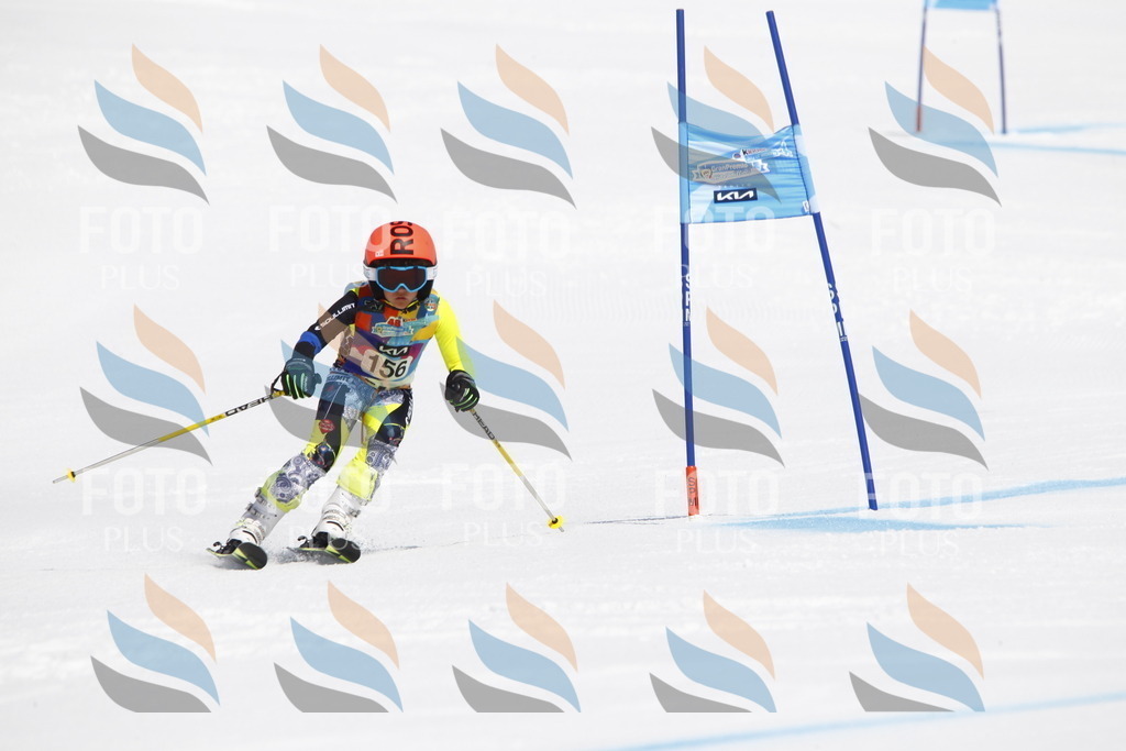 _U3G4216 | holidayphoto