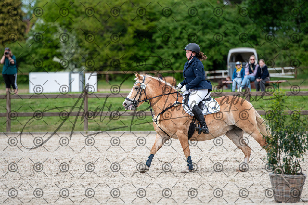 KPT_6342 | andre_photographic