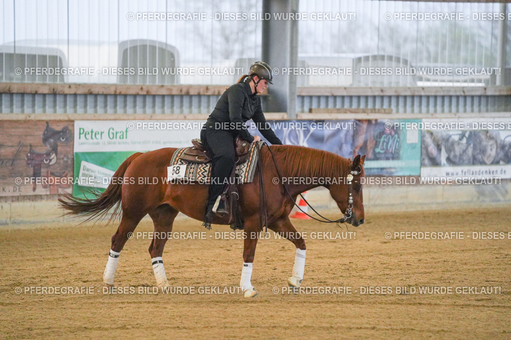 DSC09328 | Pferdegrafie