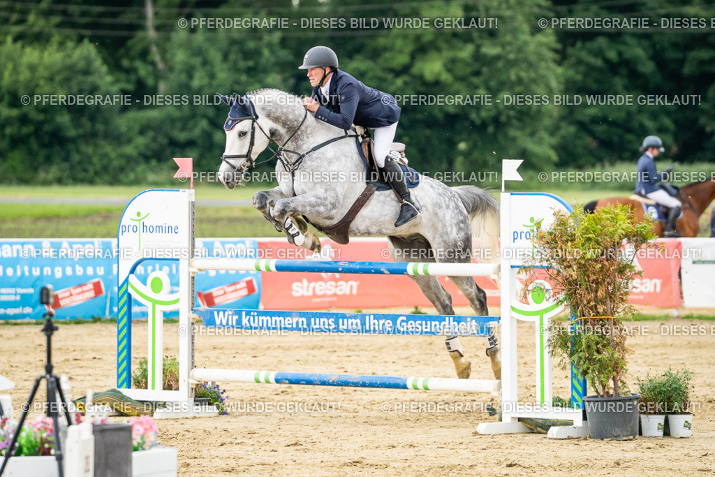 DSC06881 | Pferdegrafie