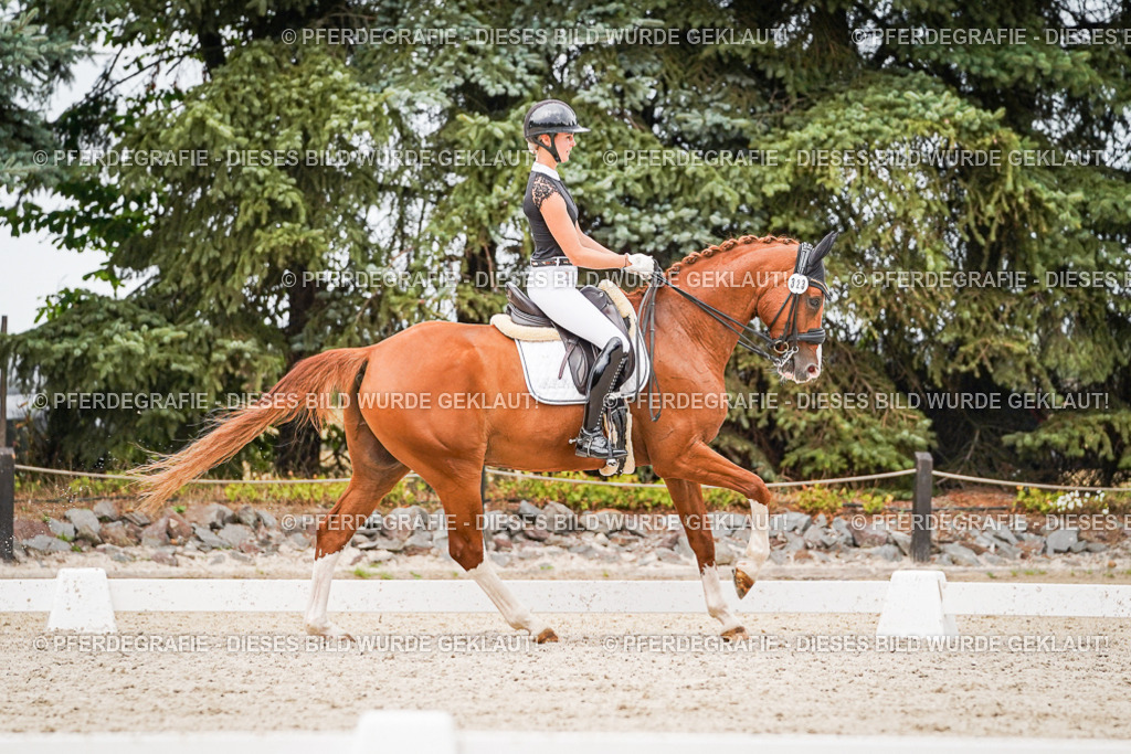 DSC07950 | Pferdegrafie