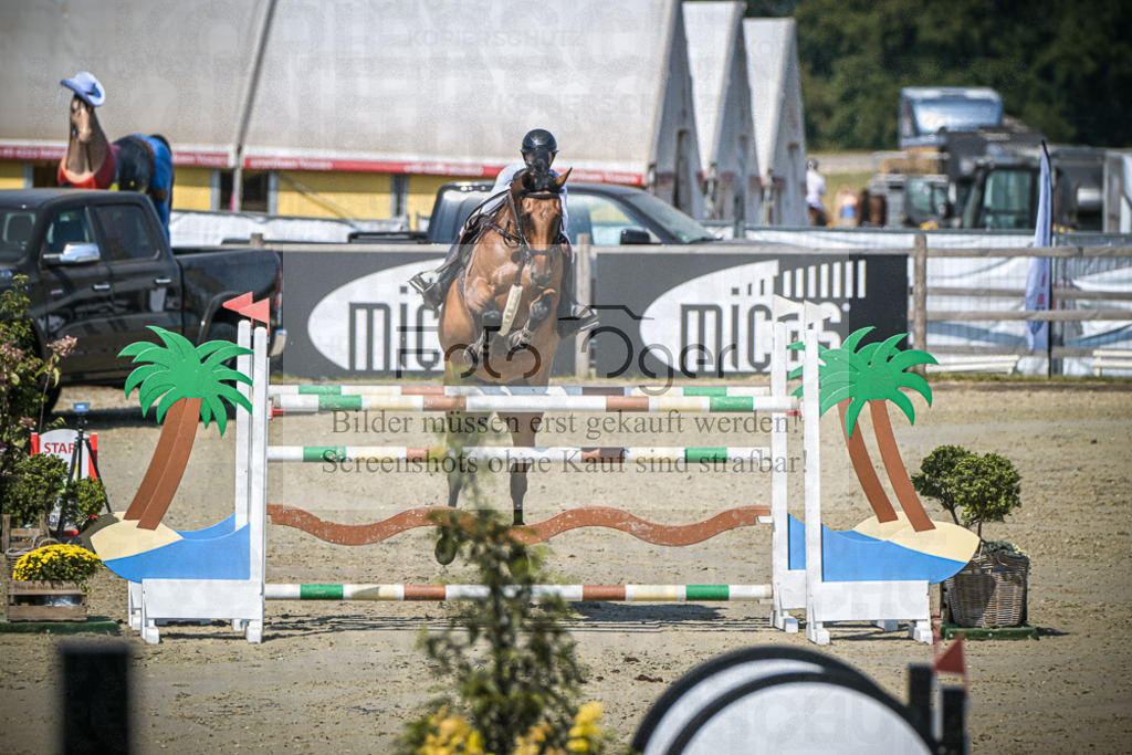 DOS_1681 | Entdecke hochwertige Reitturnierfotos von Foto Oger. Professionell, emotional und authentisch – jetzt Lieblingsmomente im Shop bestellen.Deutschlandweite Turnierfotografie. - Realisiert mit Pictrs.com