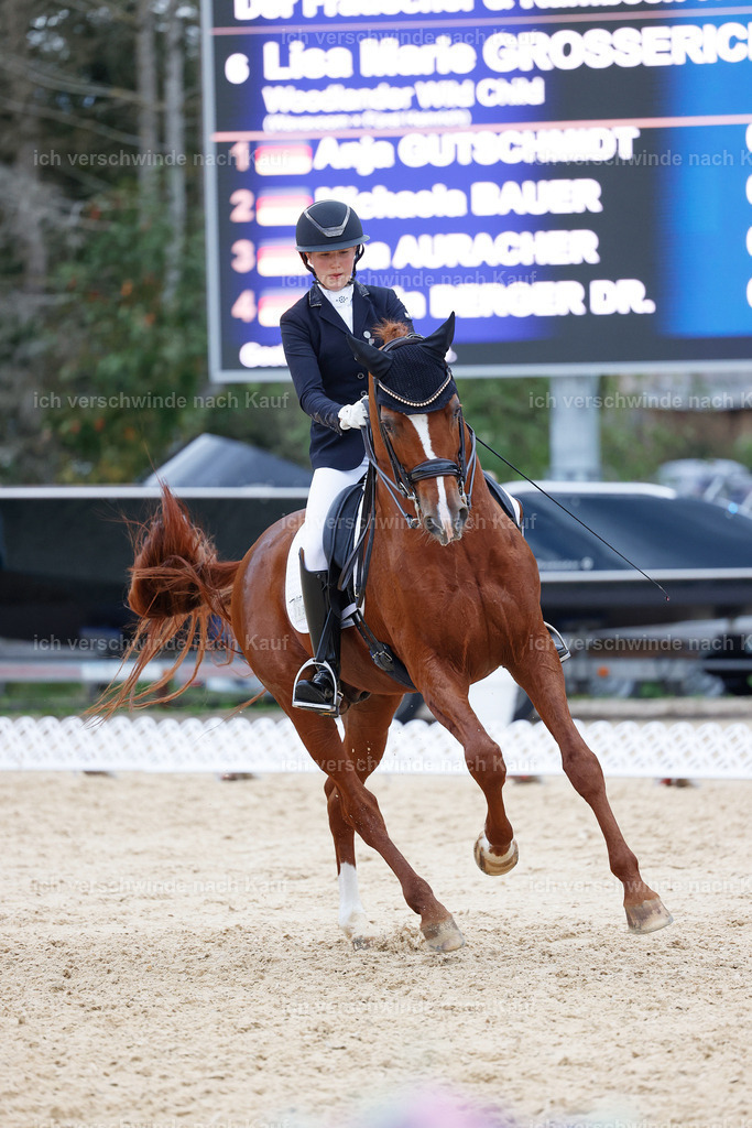 04_2-223-Dressur M__ -StoibPH-2969 | working equitationturnier fotograf videograf stoibphotography marixx film working equitation deutschland reitsport turnierfotografie eventfotografie equestrian events