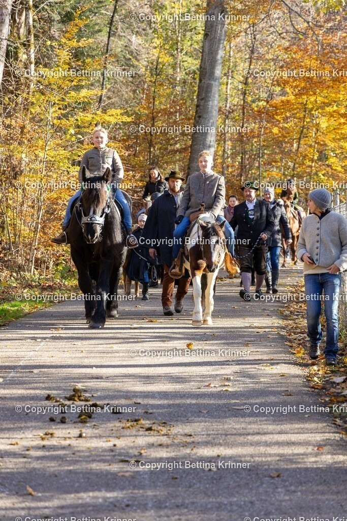 LL24-355 | foto-bettina-krinner - Realisiert mit Pictrs.com