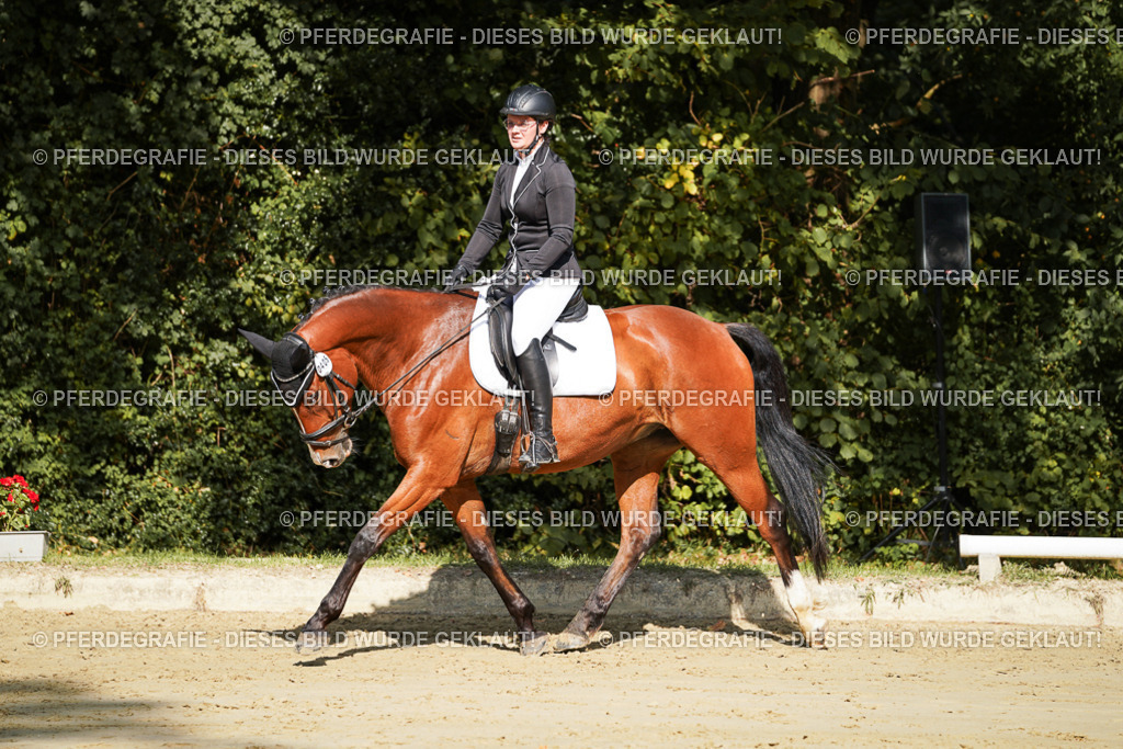 DSC08407 | Pferdegrafie