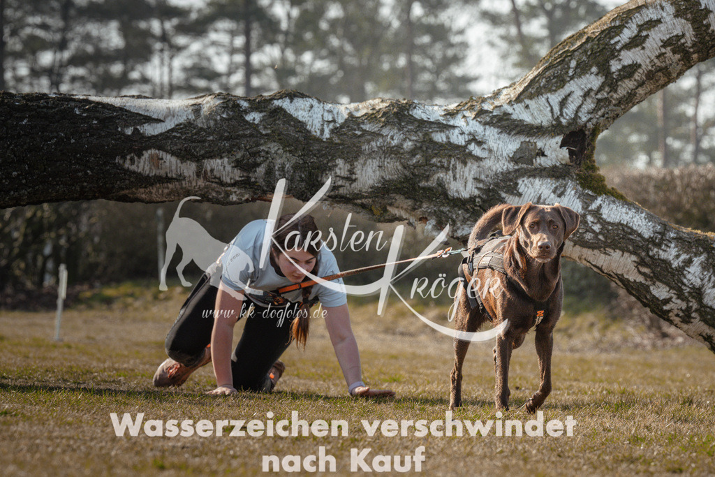 1021_ZZ92488 | kk-dogfotos