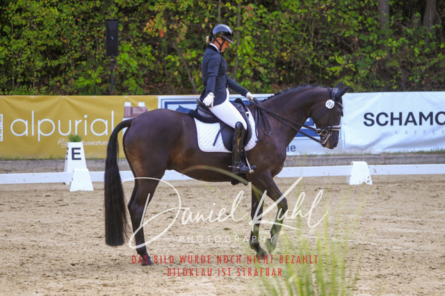 DKP41534 | Turniersportfotografie; Pferdefotografie; Dressurfotografie