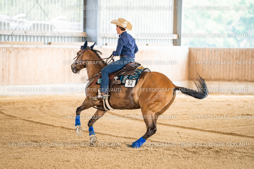 DSC04149 | Pferdegrafie