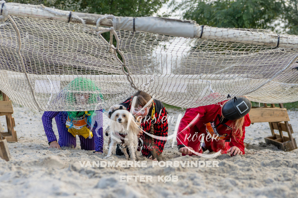 1630_ZZ97739 | kk-dogfotos