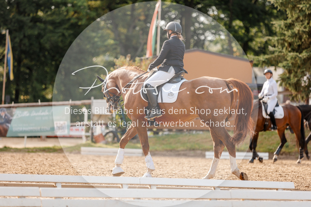 3I6A2938 | Stimmungsvolle Portraits und Reitsportfotografie im Ruhrgebiet und im Münsterland.

Pferdefotografie, Hundefotografie, Tierfotografie, Reportagen, Portraits von Tier und Mensch, Turnierfotografie in Bochum, Recklinghausen, Marl, Haltern am See, Dülmen.. - Realisiert mit Pictrs.com