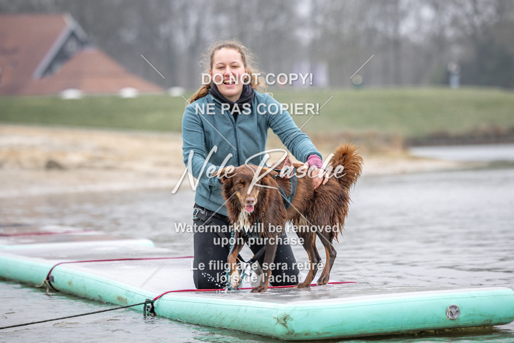 nelerasche_Hulsbeek_Sa1030-1100_02 | nelerasche