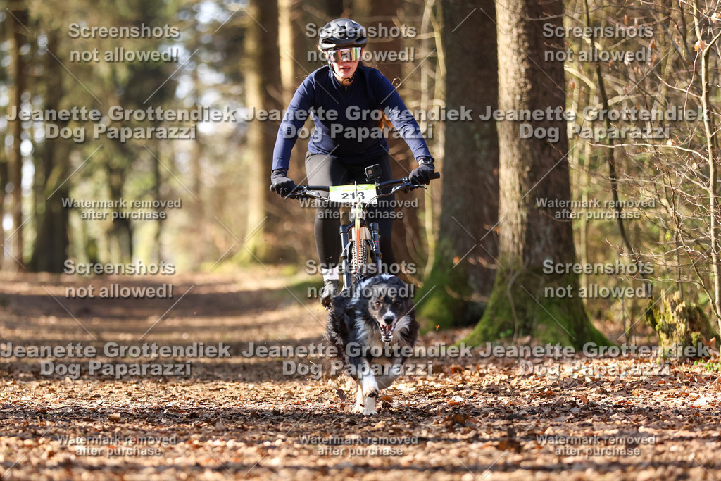 Dog Paparazzi - VCC26-1048 | Dog Paparazzi Jeanette Grottendiek Fotografie & Videografie - Realisiert mit Pictrs.com