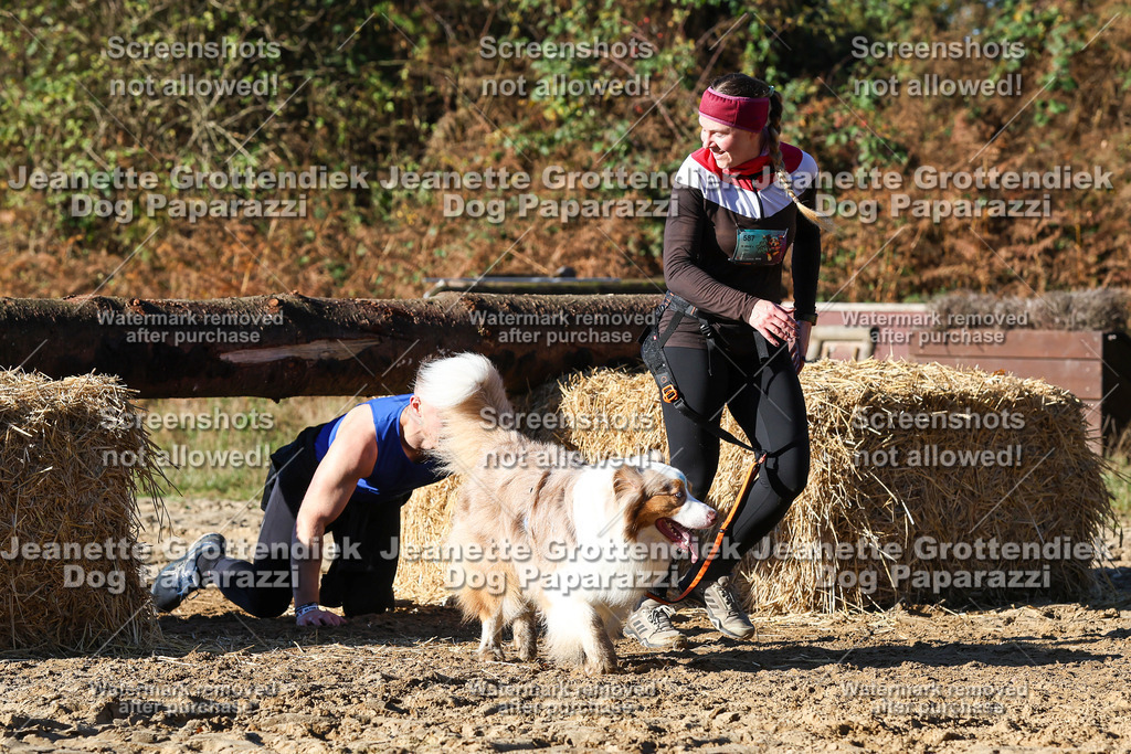 Dog Paparazzi - Strongdog 10-25-1835 | Dog Paparazzi Jeanette Grottendiek Fotografie & Videografie - Realisiert mit Pictrs.com