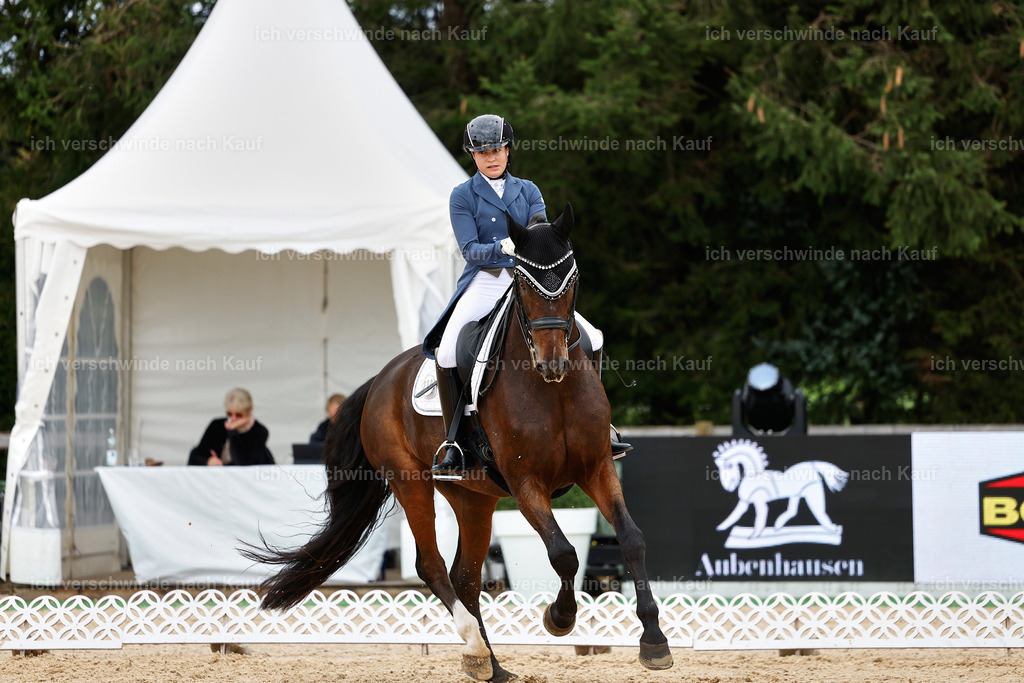 6-200-AMATUER-DRESSUR S_  -StoibPH-3530 | working equitationturnier fotograf videograf stoibphotography marixx film working equitation deutschland reitsport turnierfotografie eventfotografie equestrian events