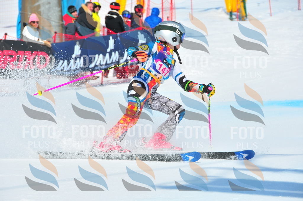 DSC_5055 | holidayphoto