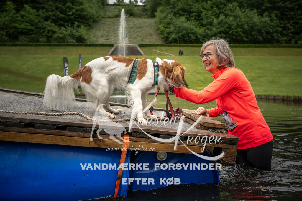 1010_ZZ94806 | kk-dogfotos