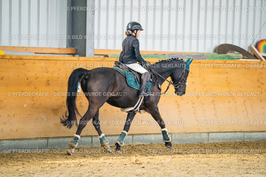 DSC00971 | Pferdegrafie