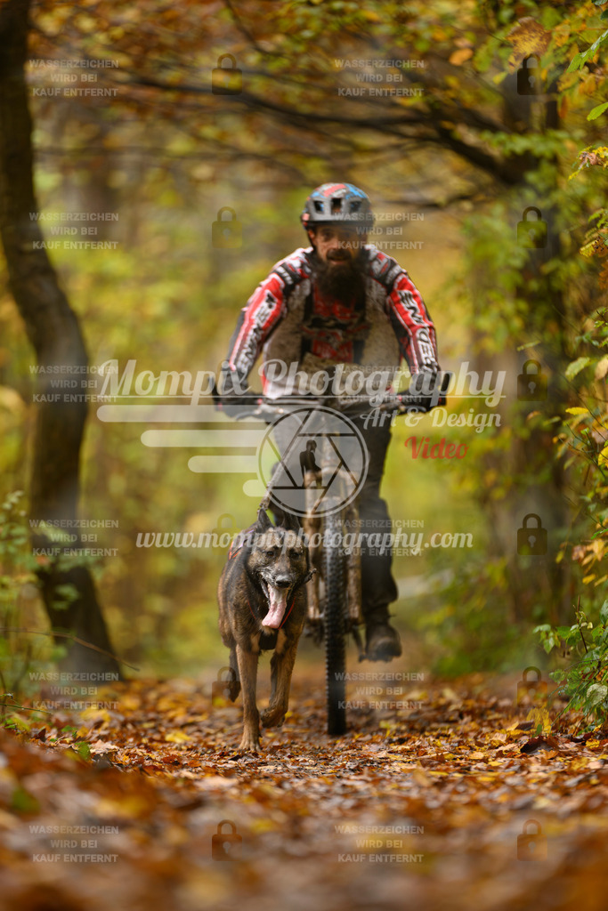 MompixPhotography_CD7S_DI_Bike-38 | mompixphotography