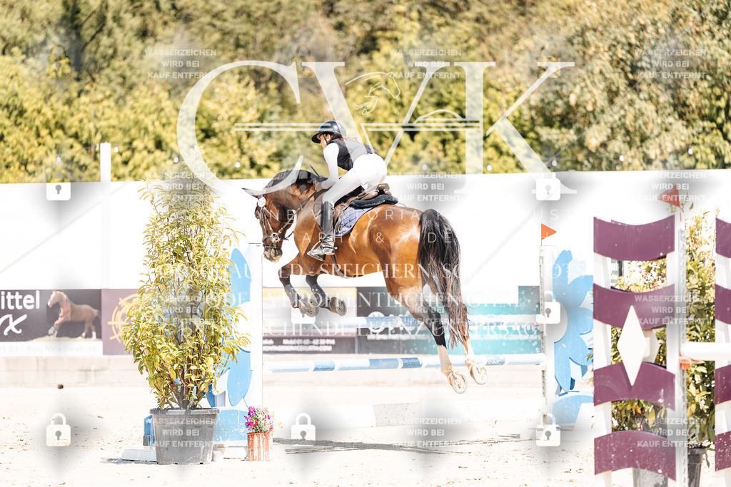 CK900345 | Turnierfotografie Pferdefotografie Trier Rheinland-Pfalz Pferdesport Reitsport Tierfotografie Sportfotografie Pferdevideo Pferdevideografie Equestrianvideography equestrianphotography  - Realisiert mit Pictrs.com