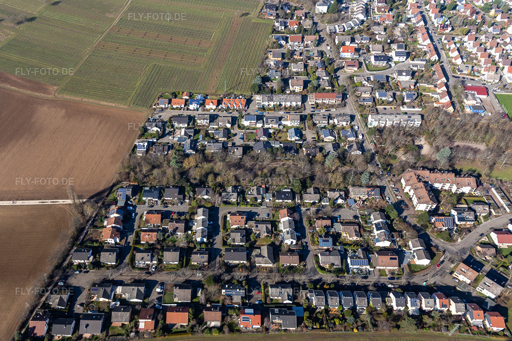 Luftbild: Kolmarer Straße in Landau in der Pfalz im Bundesland Rheinland-Pfalz in Deutschland. Foto: IMG_125276.jpg vom 21.02.2021 durch Werner Riehm/FLY-FOTO.de