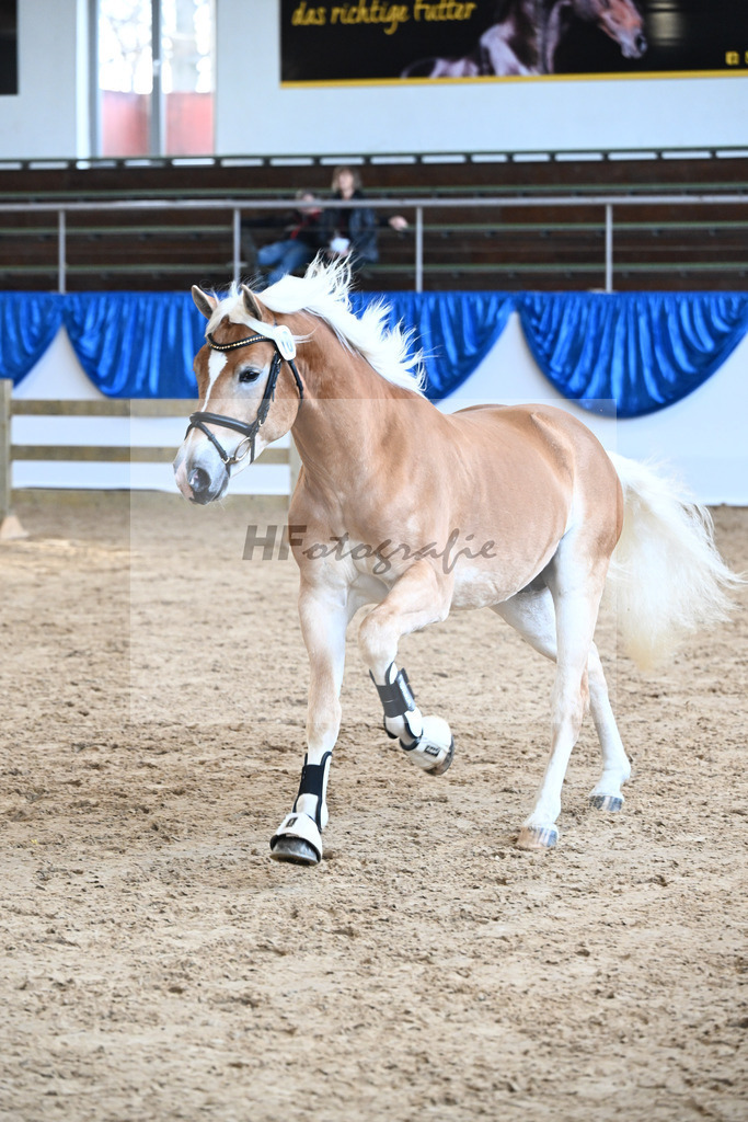 Kat-Nr. 16 nn v. Neustart_Obermeyer_48250314 | hf-fotografie - Realisiert mit Pictrs.com