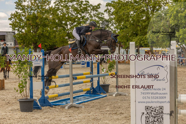 26-7-23 SPR A++-228 | mandyhollmannphotographie
