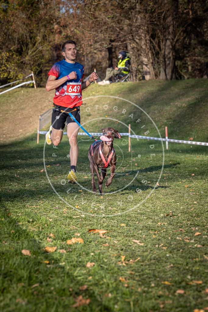 CaniXpix_0L8A9091 | Hundefotografie, Tierfotograf, Pfotenfotografie, Fotoshooting Hund, Hunde Portrait, Hundesport, Hundeportraits, Heideshooting, Hunde, Sportfotograf, Hundefotograf, Turnierhundsport, THS,  - Realisiert mit Pictrs.com