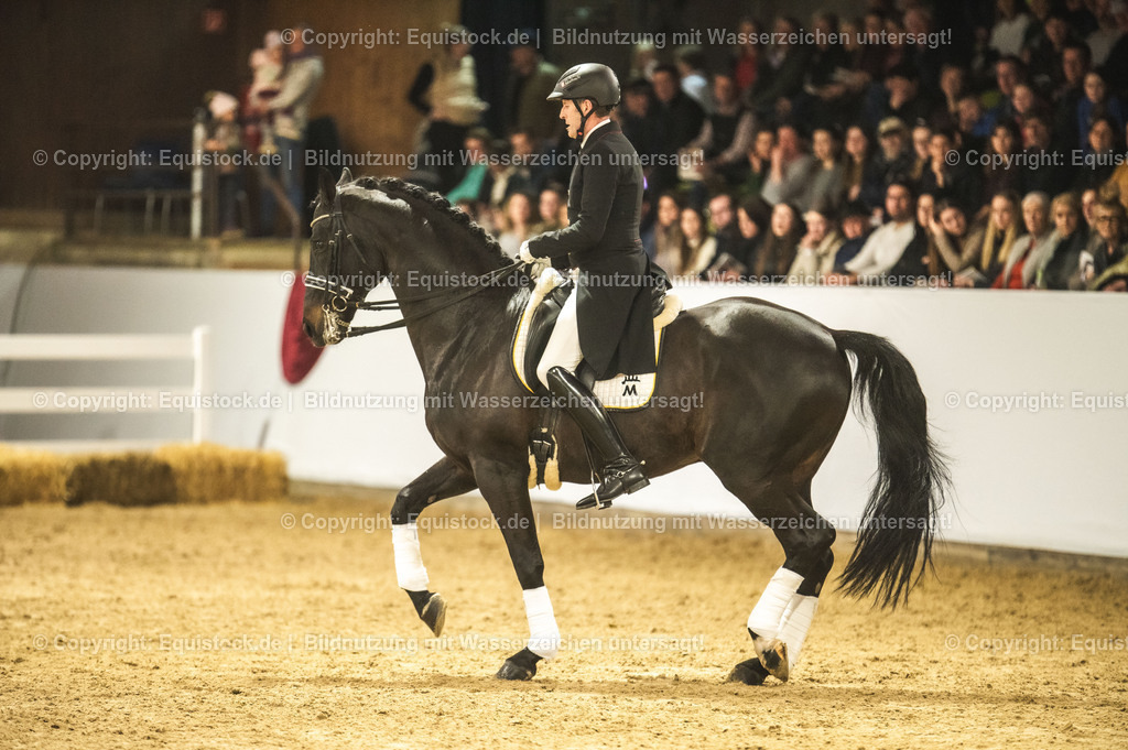 20240302_Hengstvorstellung_Marbach_TOMsPiC_1467 | equistock