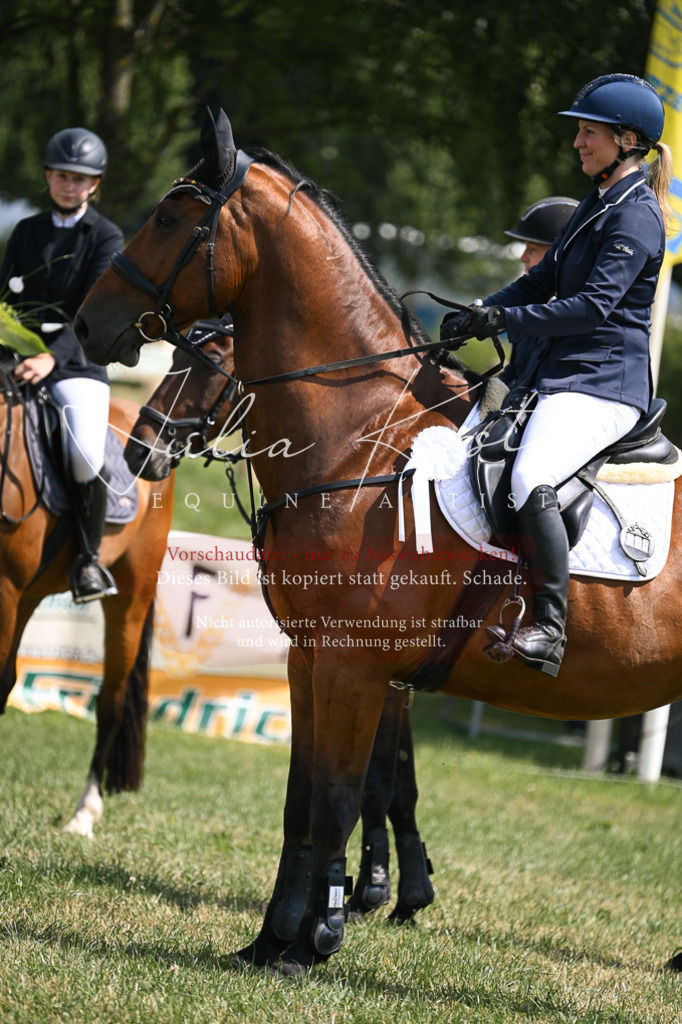 DSC_9178 | Pferde- und Turnierfotografie in Westsachsen. Pferdeportraits, Auftragszeichnungen und intuitive Kunst.
