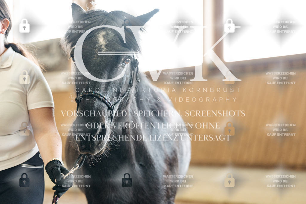 CK907939 | Turnierfotografie Pferdefotografie Trier Rheinland-Pfalz Pferdesport Reitsport Tierfotografie Sportfotografie Pferdevideo Pferdevideografie Equestrianvideography equestrianphotography  - Realisiert mit Pictrs.com