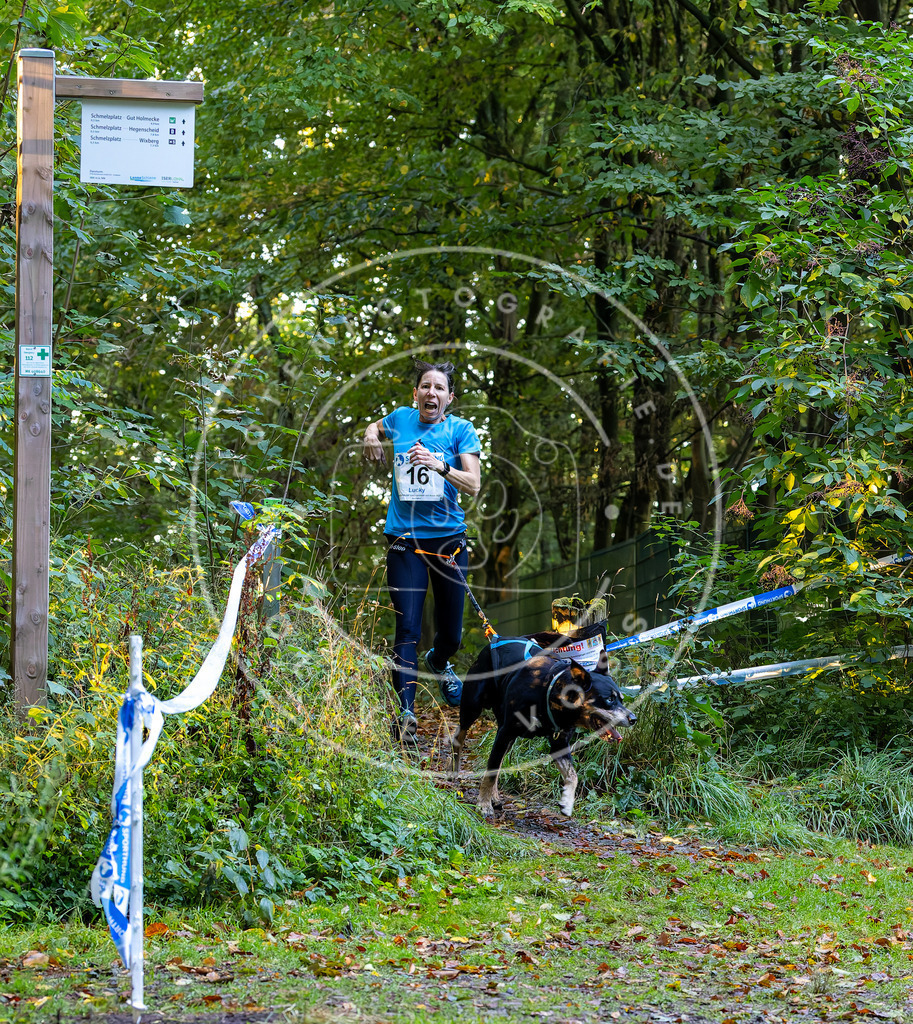 Pfotenfotografie_DV3A6371 | Hundefotografie, Tierfotograf, Pfotenfotografie, Fotoshooting Hund, Hunde Portrait, Hundesport, Hundeportraits, Heideshooting, Hunde, Sportfotograf, Hundefotograf, Turnierhundsport, THS,  - Realisiert mit Pictrs.com