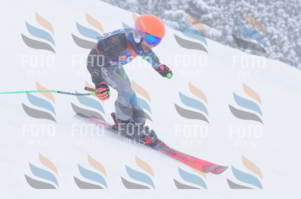 C2805 | holidayphoto