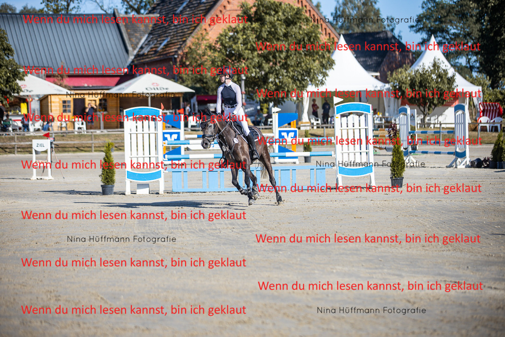 BK1A5956 | Turnierbilder Turnierfotos Nina Hüffmann Turnierfotografie Pferdefotografie Tierzeichnung Haustierzeichnung Pferdezeichnung Hundezeichnung Videograf  - Realisiert mit Pictrs.com