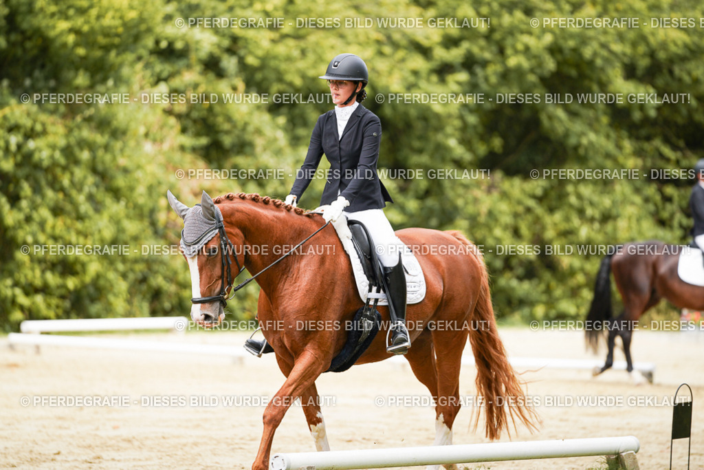 DSC01923 | Pferdegrafie