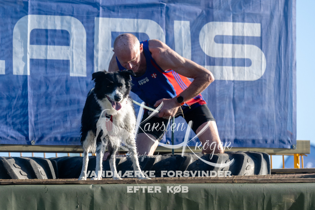 0819_ZZ93316 | kk-dogfotos