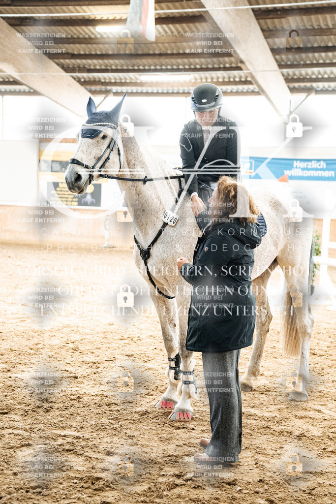 CK702895 | Turnierfotografie Pferdefotografie Trier Rheinland-Pfalz Pferdesport Reitsport Tierfotografie Sportfotografie Pferdevideo Pferdevideografie Equestrianvideography equestrianphotography  - Realisiert mit Pictrs.com