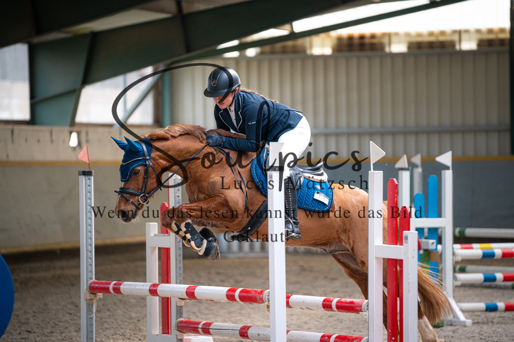 A7V07842 | Pferdefotograf