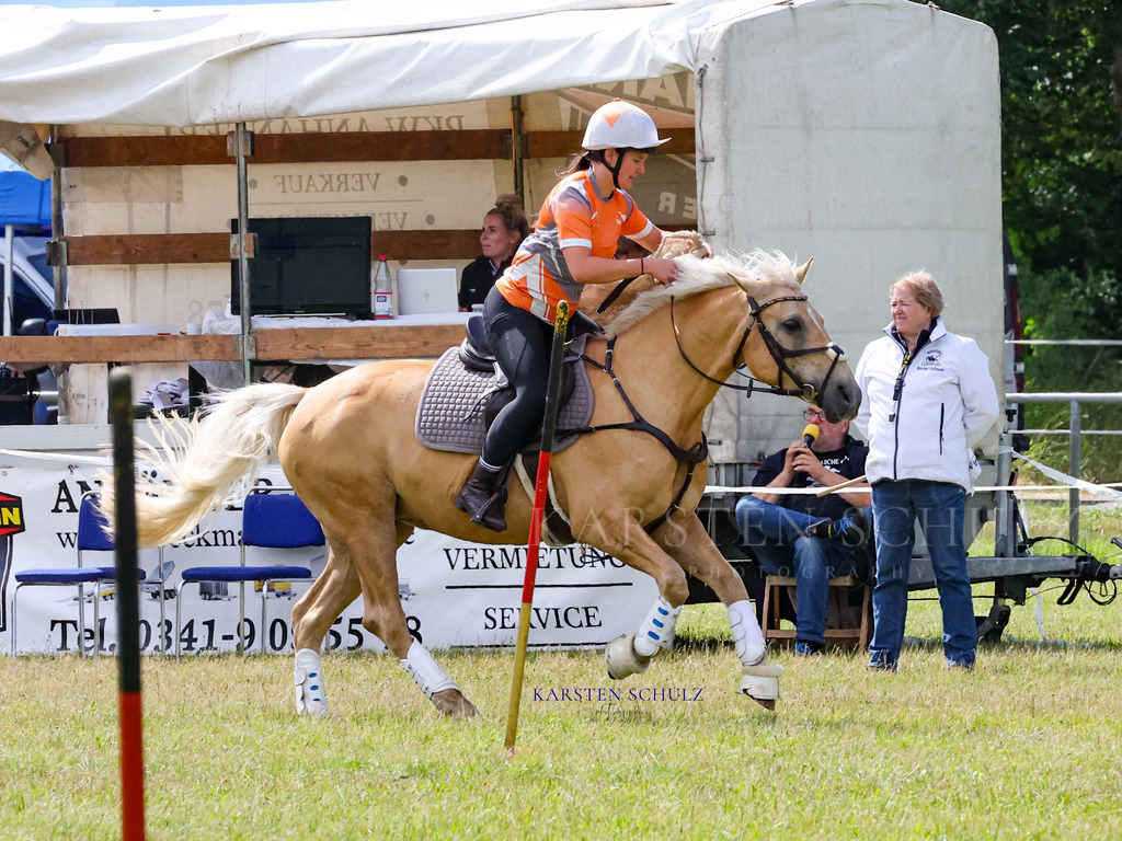 1B3A4644 | Reitsport Reiten