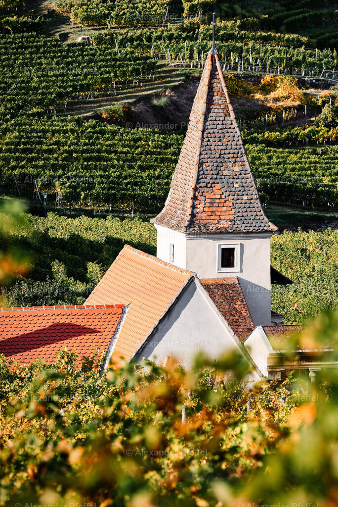 foto_c_pfeffel-partner-0077-R52_0262-Bearbeitet | alexander-pfeffel - Realisiert mit Pictrs.com