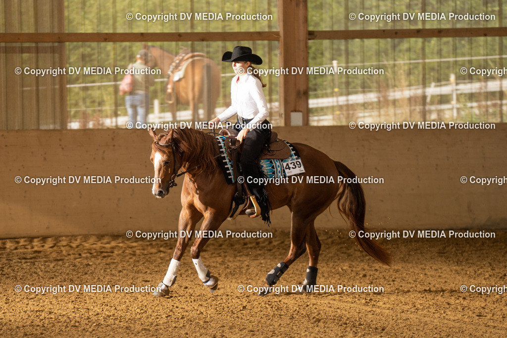 LAU01396 | dv-media-shop - Realisiert mit Pictrs.com