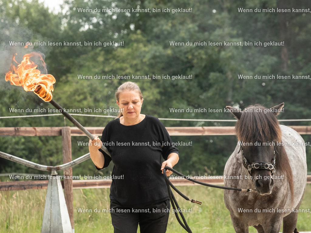 598A7368 | photographylinaismer - Realisiert mit Pictrs.com