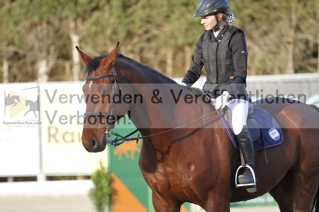 _MG_8625 | equestrian-live-com