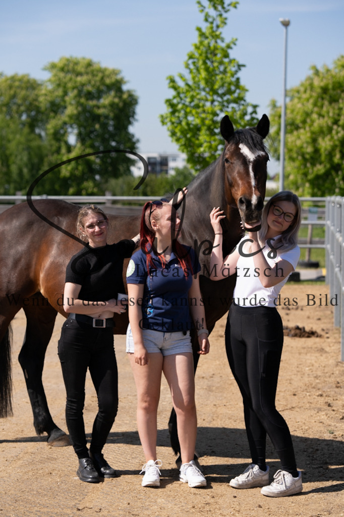 A7V01844 | Pferdefotograf