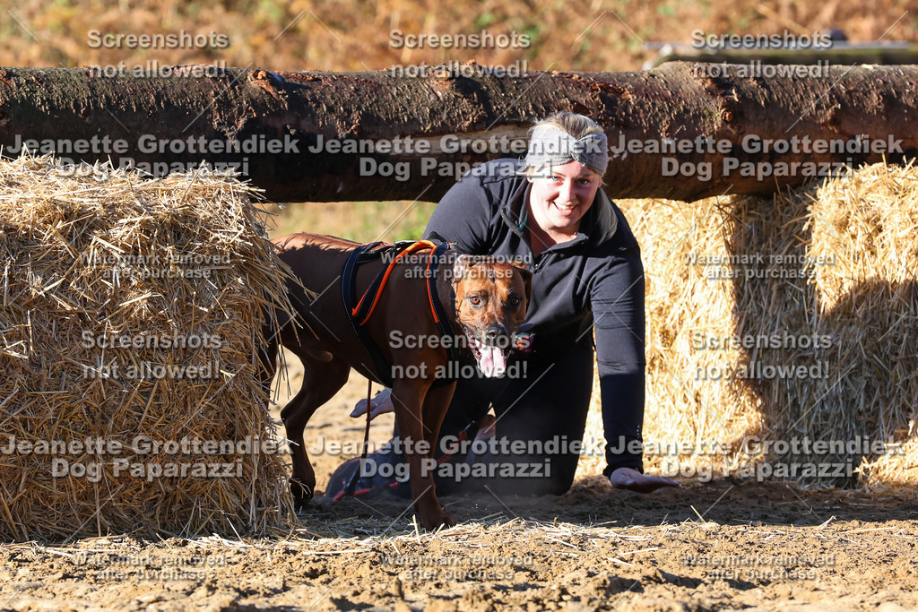 Dog Paparazzi - Strongdog 10-25-1322 | Dog Paparazzi Jeanette Grottendiek Fotografie & Videografie - Realisiert mit Pictrs.com