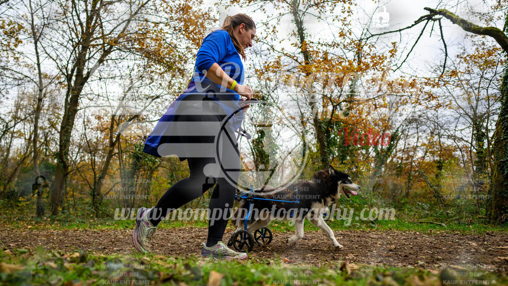 MompixPhotography_Bischwiller24_DI_CoursedeRelais-80 | PayLife