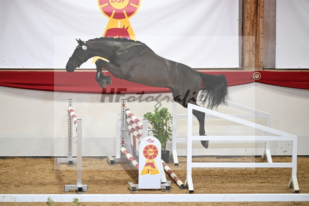 Kat.-Nr. 32 v. Monator vd Radstake_Schep_2251214 | hf-fotografie - Realizzato con Pictrs.com